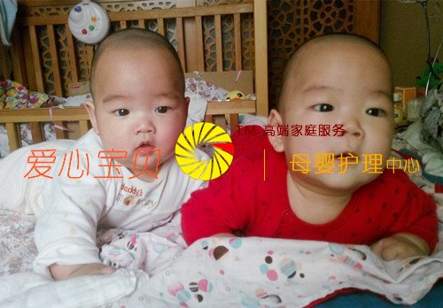 双胞胎宝宝多可爱呀