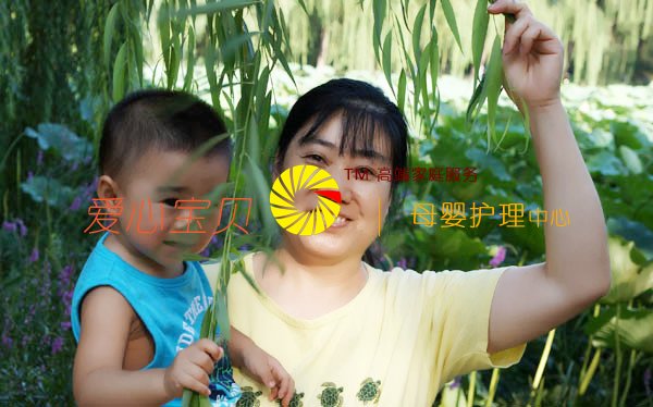 ���Ĺ��������ķ����Ǳ������ı�����������˾��������