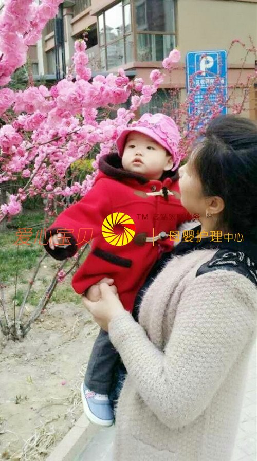 北京育儿嫂