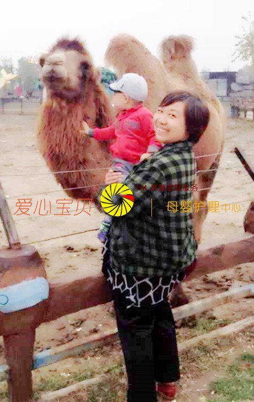 北京家政公司