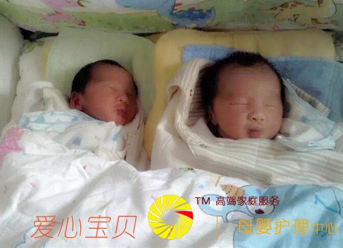 双胞胎宝宝