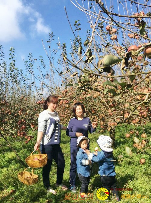 ��������ɩ