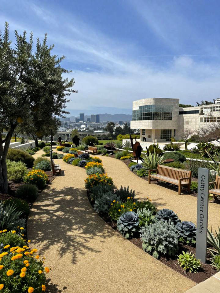 美国月子中心为何大多聚集在洛杉矶？Why are most American maternity centers concentrated in Los Angeles?